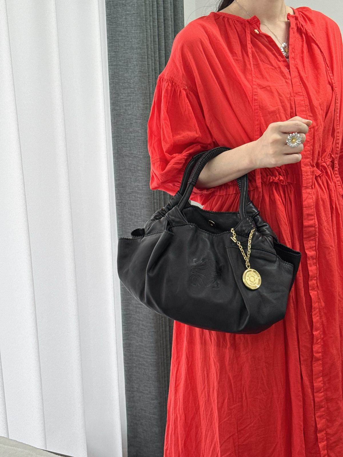 Loewe金幣雲朵餃子包 ➕袋
尺寸約28*8*23cm
$5080